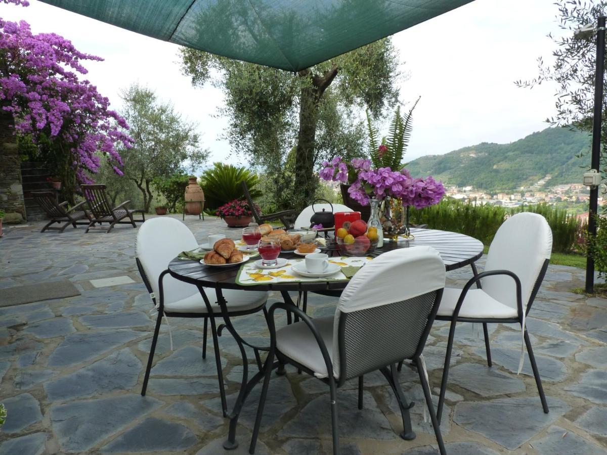 La Gatta Sul Sentiero Bed & Breakfast San Salvatore  Екстериор снимка