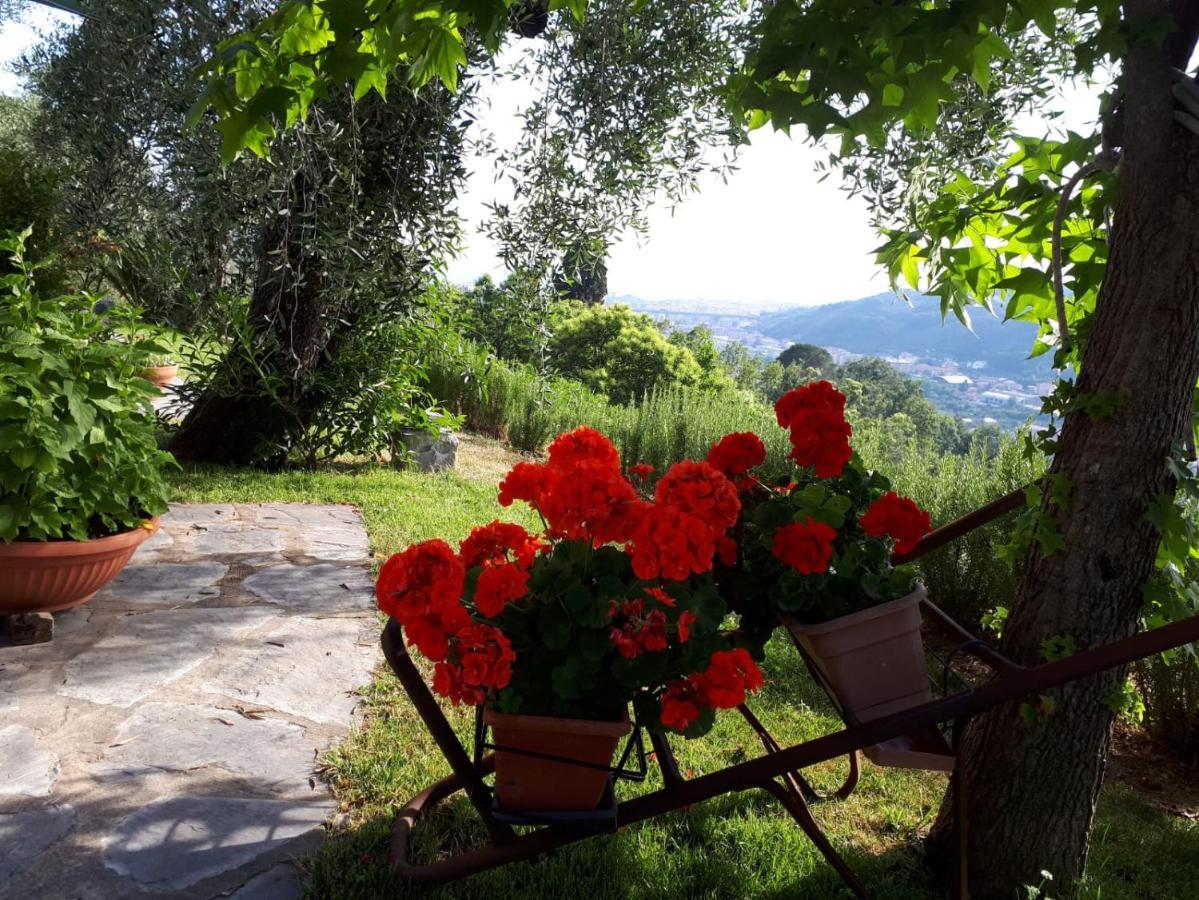 La Gatta Sul Sentiero Bed & Breakfast San Salvatore  Екстериор снимка