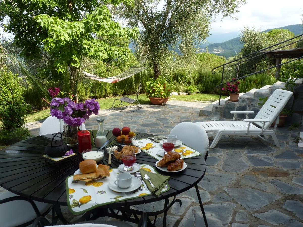 La Gatta Sul Sentiero Bed & Breakfast San Salvatore  Екстериор снимка