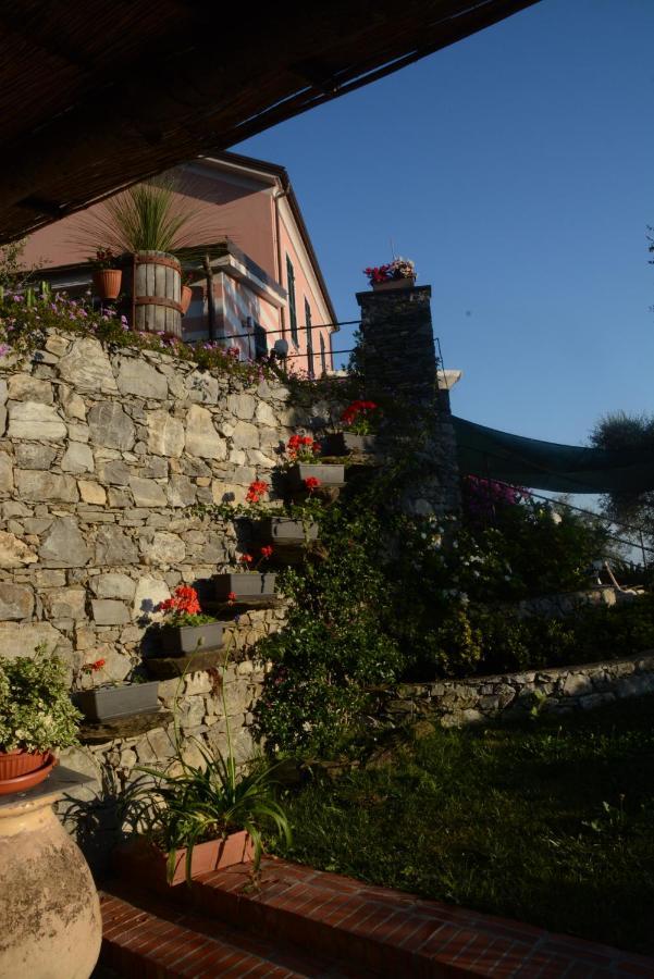 La Gatta Sul Sentiero Bed & Breakfast San Salvatore  Екстериор снимка