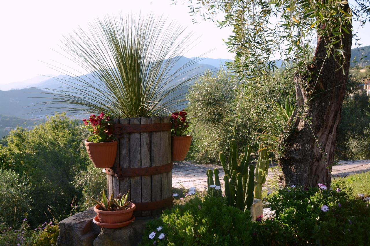 La Gatta Sul Sentiero Bed & Breakfast San Salvatore  Екстериор снимка